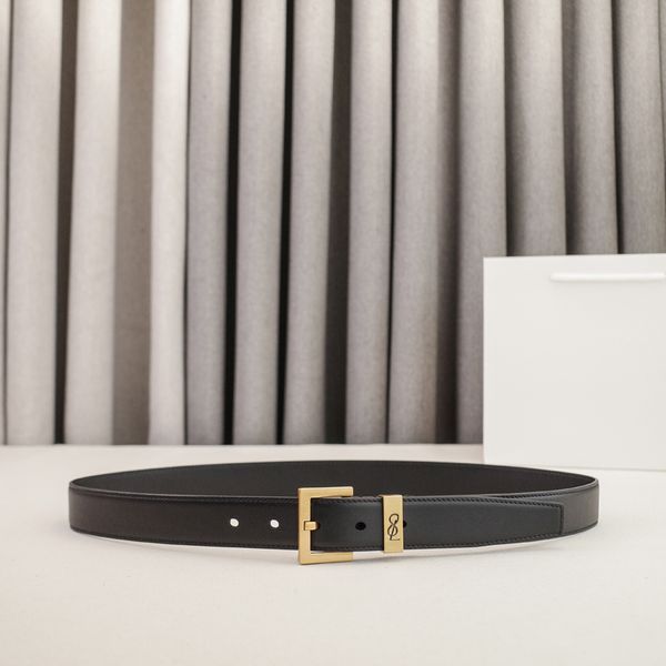 Womens Designer Belt Genuine Leather Belts for Women 2.0/3.0cm Width Leisure Needle Buckle Models Optional Lady Waistband Luxury Waist Girdle 90-115cm Length - Fashion Accessories - djzhucl